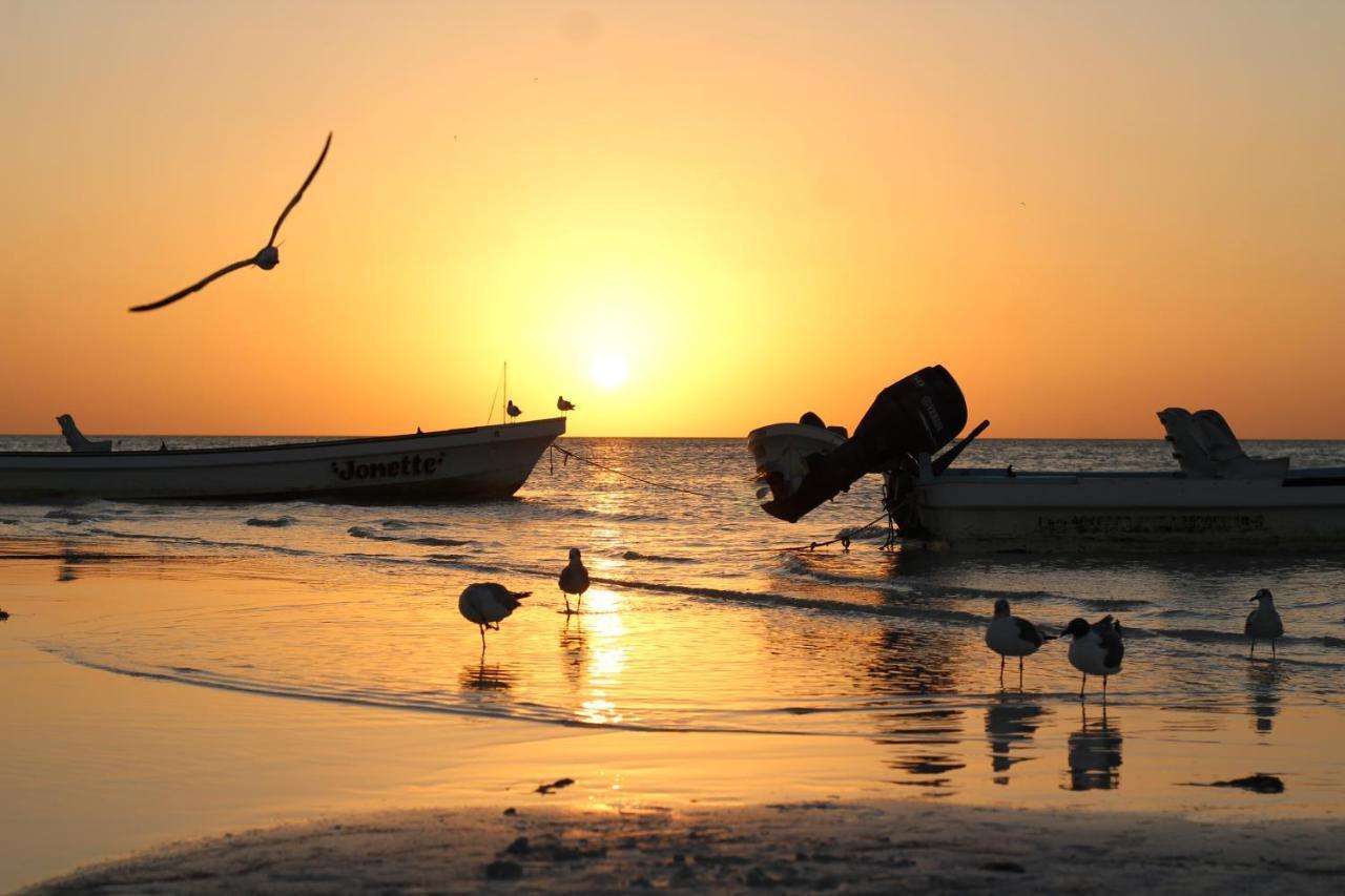 Barco Verde Hostel جزيرة هول بوكس المظهر الخارجي الصورة