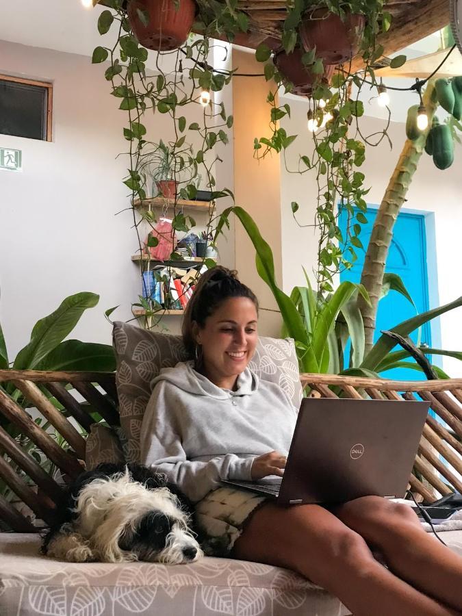 Barco Verde Hostel جزيرة هول بوكس المظهر الخارجي الصورة