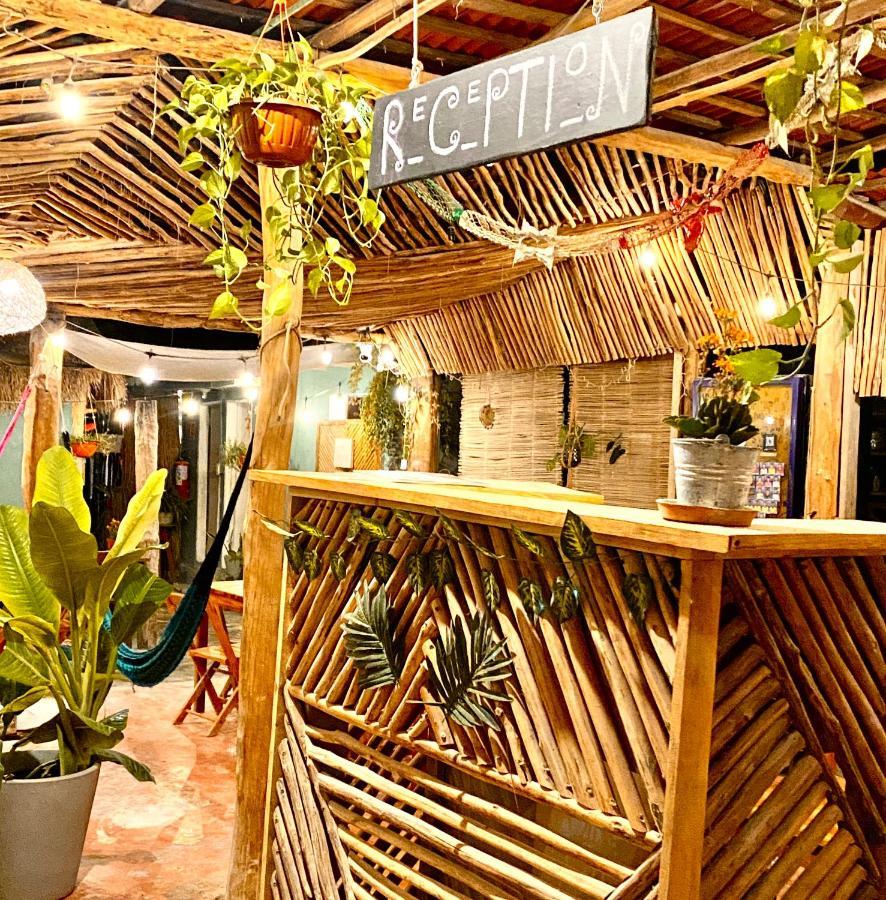 Barco Verde Hostel جزيرة هول بوكس المظهر الخارجي الصورة