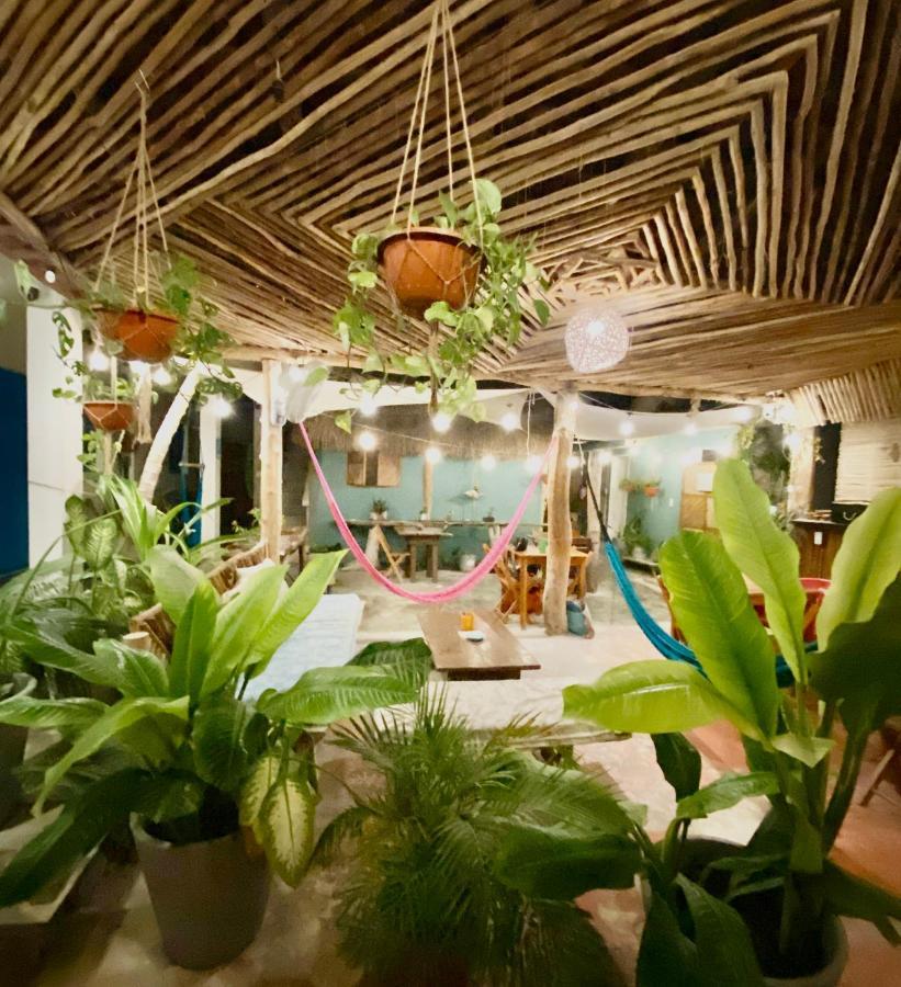 Barco Verde Hostel جزيرة هول بوكس المظهر الخارجي الصورة