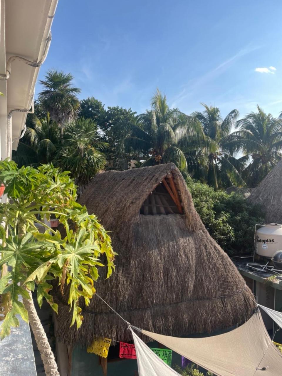 Barco Verde Hostel جزيرة هول بوكس المظهر الخارجي الصورة
