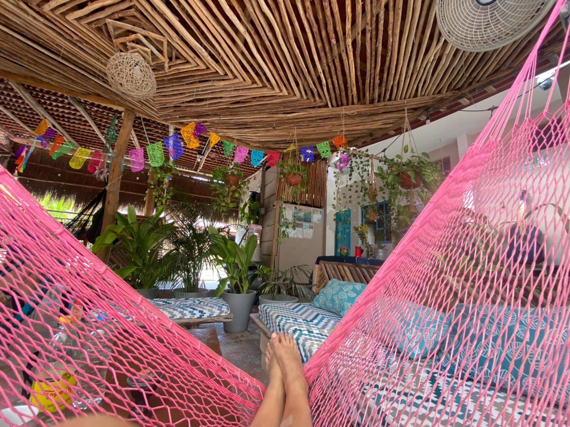 Barco Verde Hostel جزيرة هول بوكس المظهر الخارجي الصورة