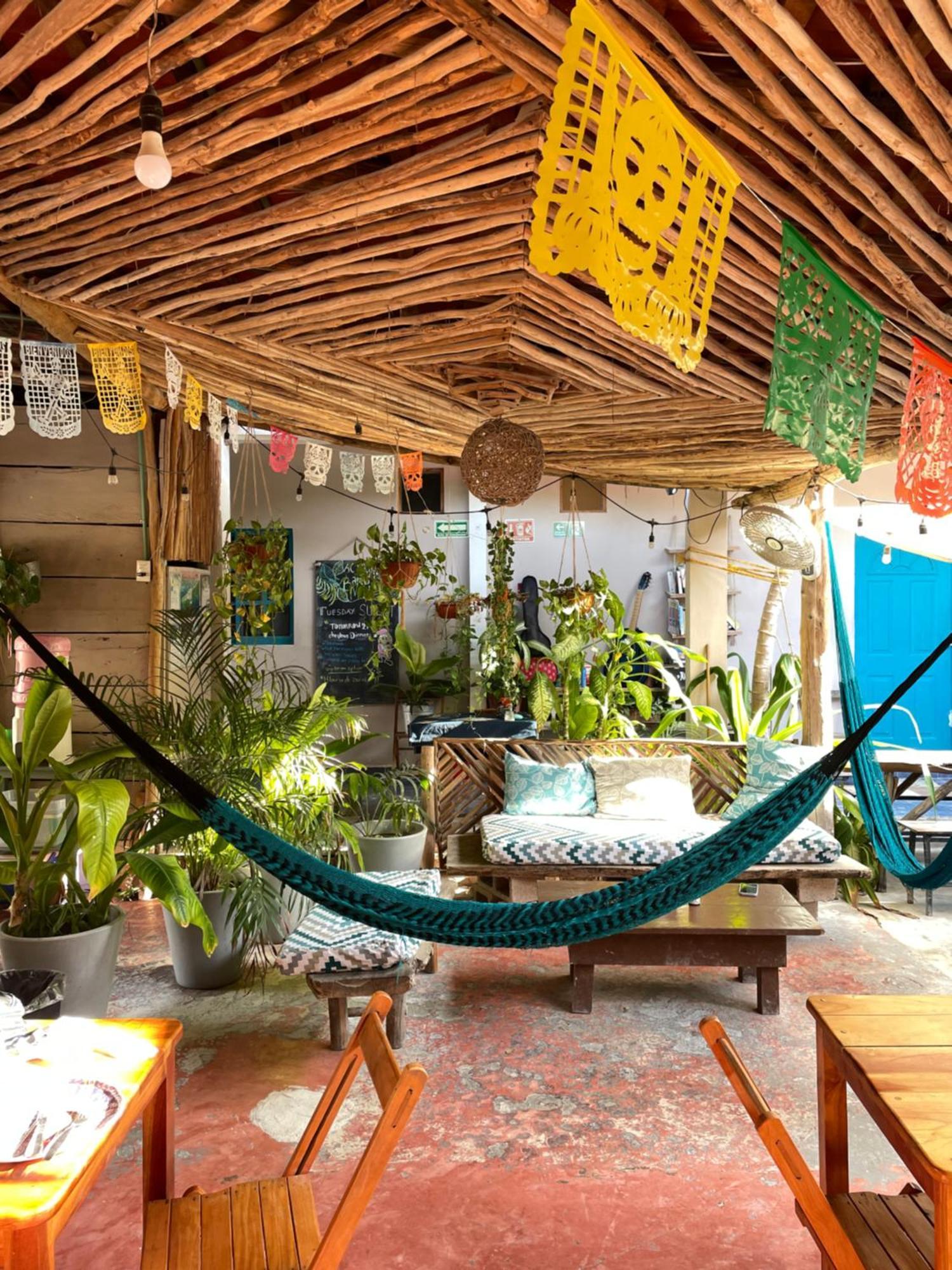 Barco Verde Hostel جزيرة هول بوكس المظهر الخارجي الصورة